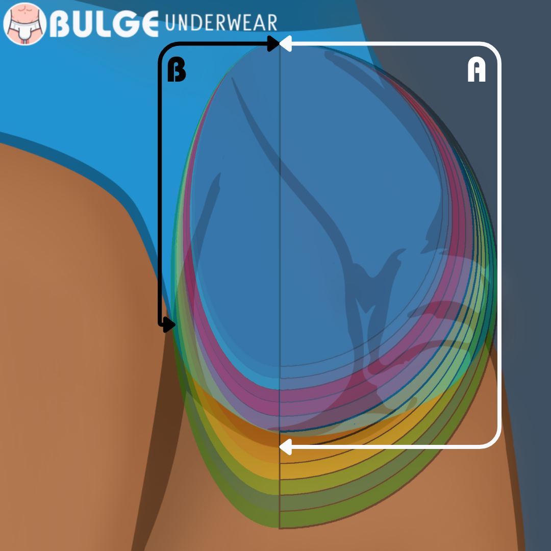 A = The Front seam from the top to the lowest point. B = The whole huggable circumference of the package.